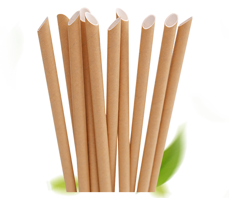 Paille en Carton, Paille en papier