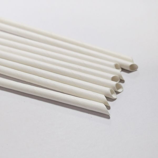 Paille pointue en carton de 5 mm