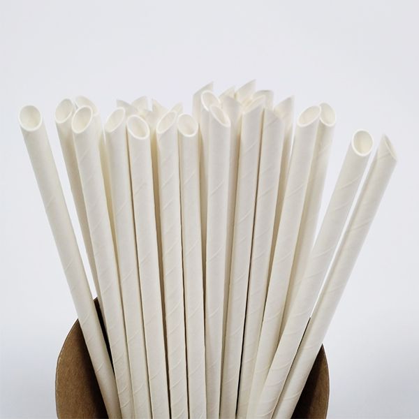 Paille pointue en carton de 6mm