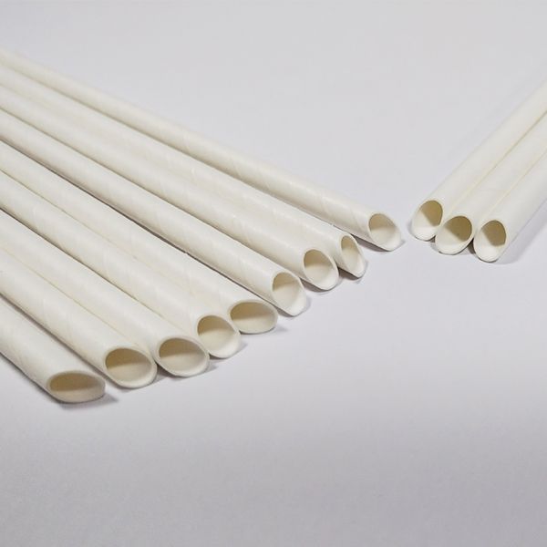 Paille pointue en carton de 6mm