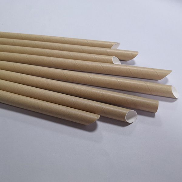 Pailles pointues en carton