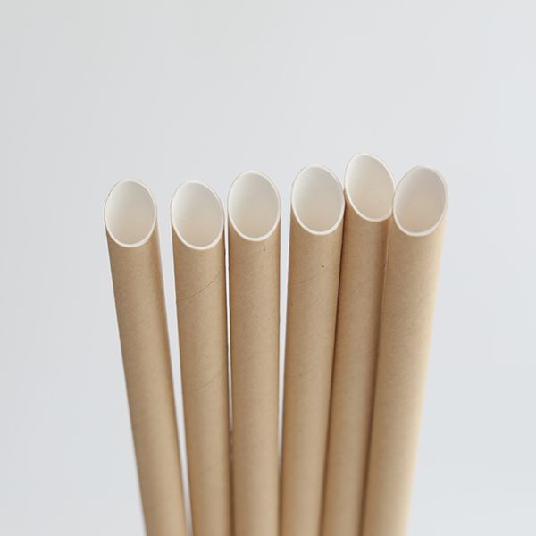 Paille pointue en carton de 10mm