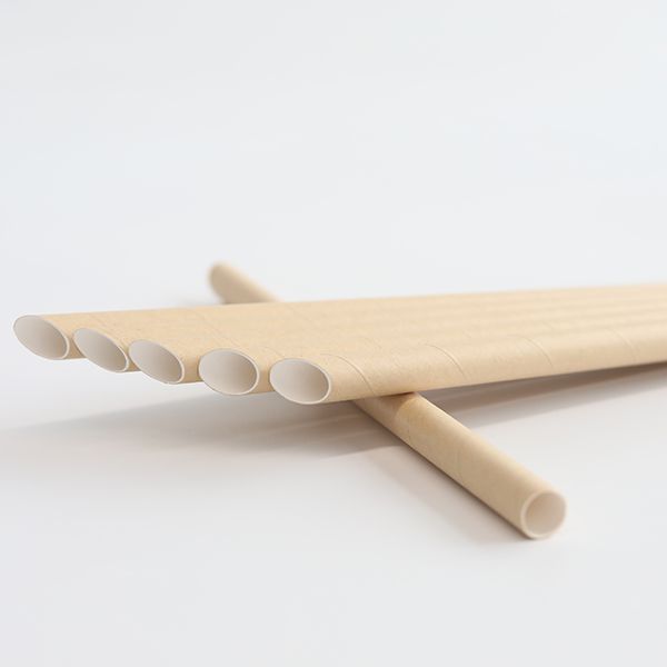 Paille pointue en carton de 10mm
