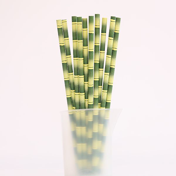 Paille droite en carton