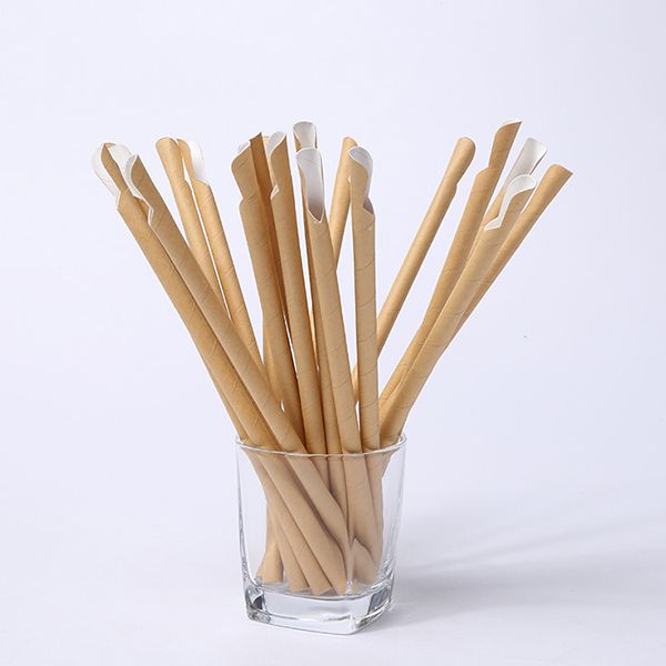 Paille cuillère en carton