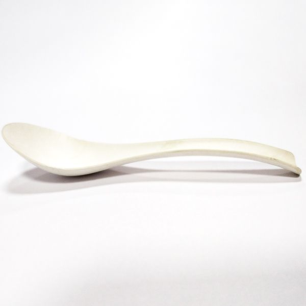 Cuillère à soupe asiatique en carton