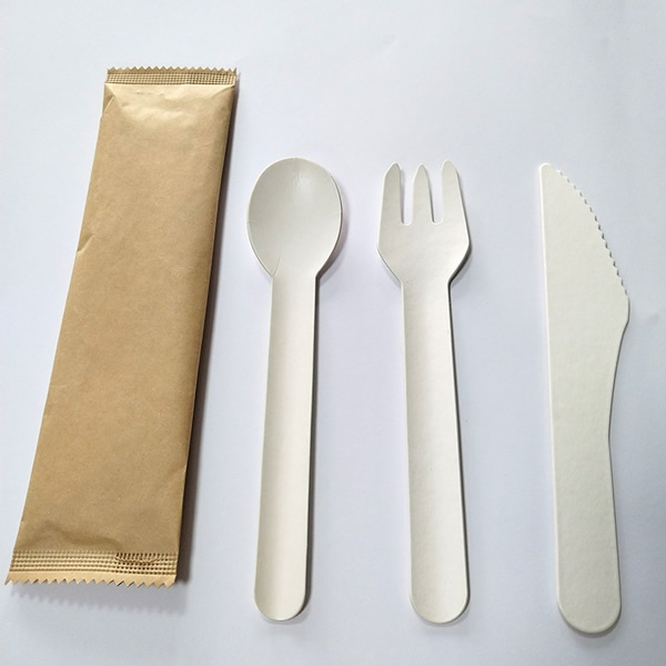 Jeu de couverts en carton (cuillère, fourchette, couteau, sachet papier)