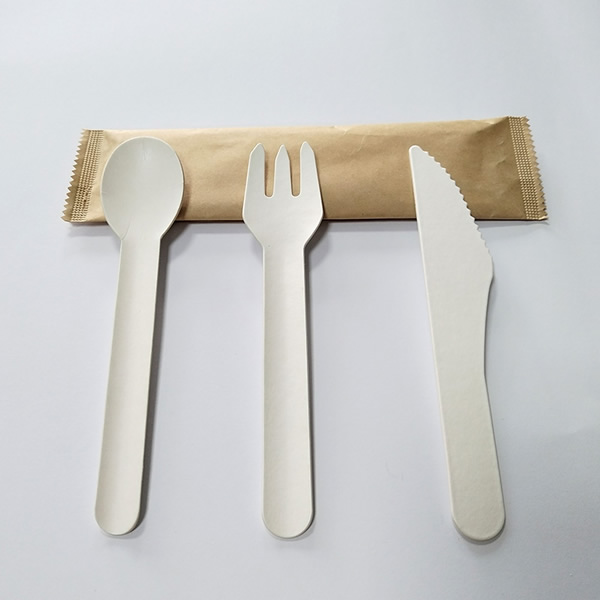 Jeu de couverts en carton (cuillère, fourchette, couteau, sachet papier)