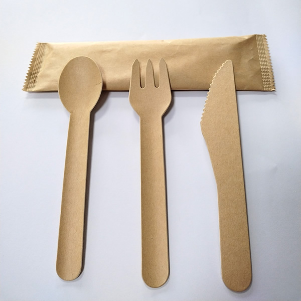 Jeu de couverts en carton (cuillère, fourchette, couteau, sachet papier)
